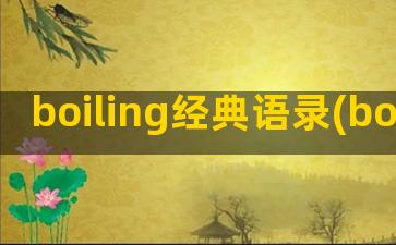 boiling经典语录(boiling point)